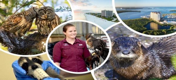 Fort Myers – Islands, Beaches and Neighborhoods und Kind Traveler: Neue Reiseinitiative unterstützt den Wildtierschutz auf Sanibel Island