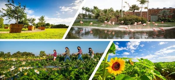 Miami feiert seine Landwirtschaft mit Angeboten  und Erlebnissen im November