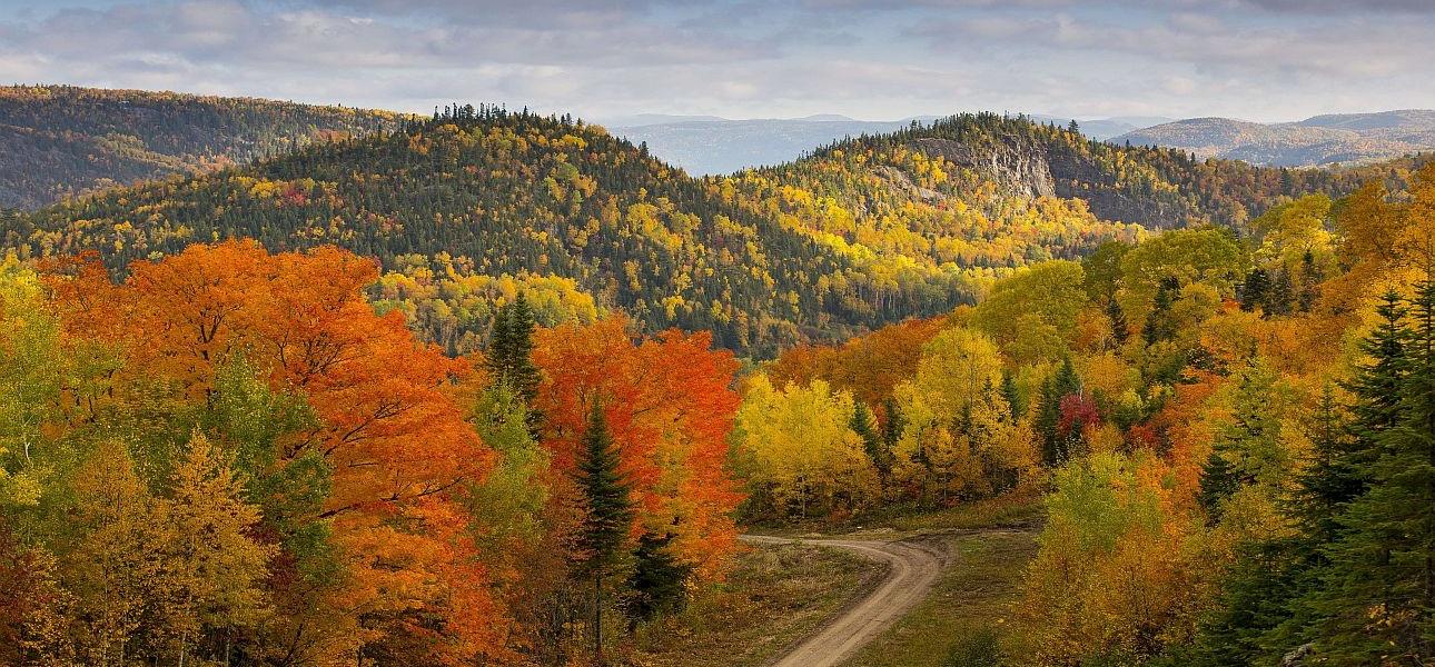 Im Herbst wird Québec zum Festival Hot Spot