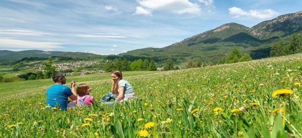 Wo die schönsten Blumen blühen – Die TOP 4 Frühlings-Bergwiesen im Trentino