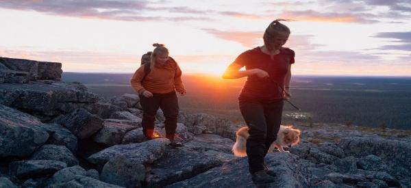 Sommerwildnis in Lappland – ein Geheimtipp