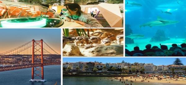 Die Top 5 Aktivitäten für einen Familienurlaub in Lissabon 