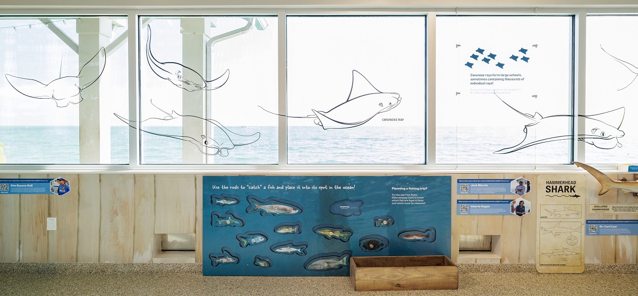 Mote Marine Zentrum auf Anna Maria Island vermittelt Wissen über das Leben unter Wasser