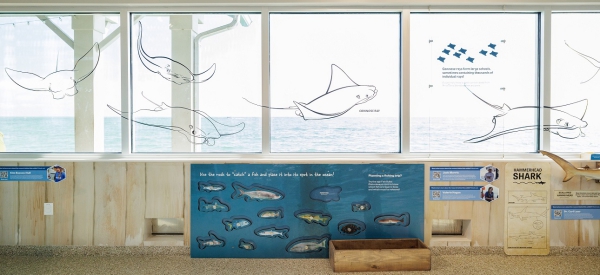 Mote Marine Zentrum auf Anna Maria Island vermittelt Wissen über das Leben unter Wasser