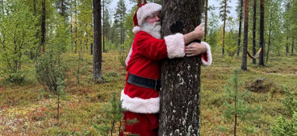 Der Weltmeistertitel wandert von Deutschland nach Südostasien: Vietnam gewinnt die TreeHugging-Weltmeisterschaft 2024 – Spanien siegt im Online-Wettbewerb