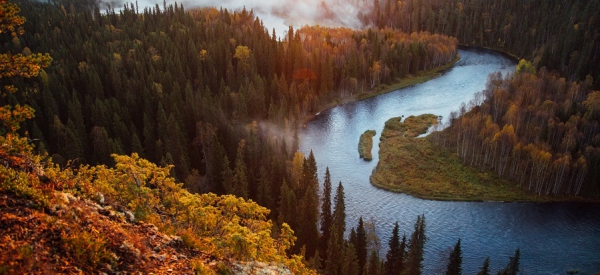 Die Ruska-Saison in Finnland hat begonnen: Die Wälder Finnlands leuchten in einem atemberaubenden Farbenspiel auf