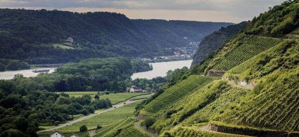 Aktivurlaub in Andernach: Naturerlebnisse und Genuss  bei PURS Fine Hotels &amp; Restaurants