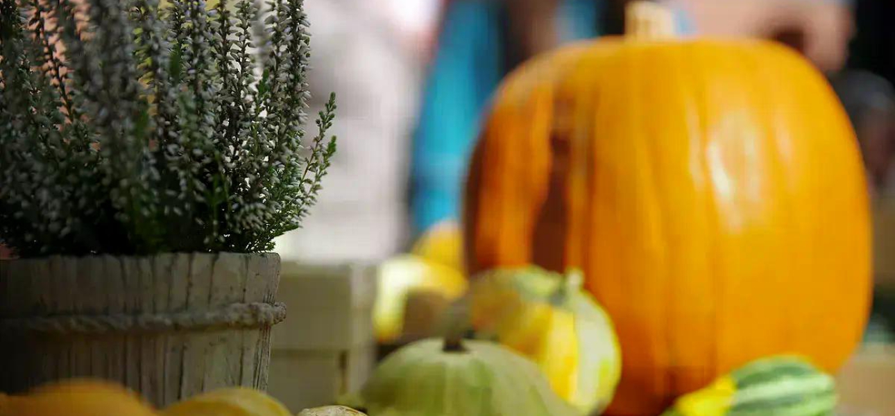 Erntezeit erleben: Herbstmarkt am 5. Oktober in Dagobertshausen