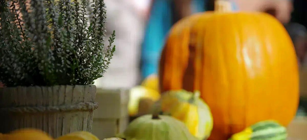 Erntezeit erleben: Herbstmarkt am 5. Oktober in Dagobertshausen 