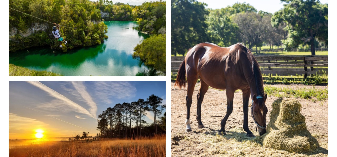 Florida der Superlative: Überraschende Highlights und Rekorde im Sunshine State