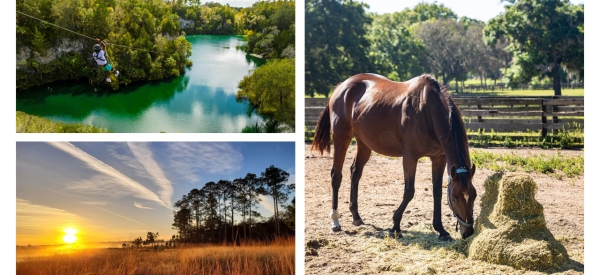 Florida der Superlative: Überraschende Highlights und Rekorde im Sunshine State