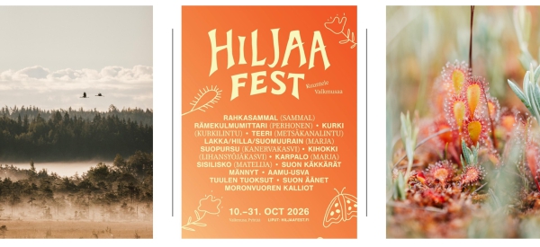 „Quietchella": Finnland startet das weltweit erste Festival des Naturhörens