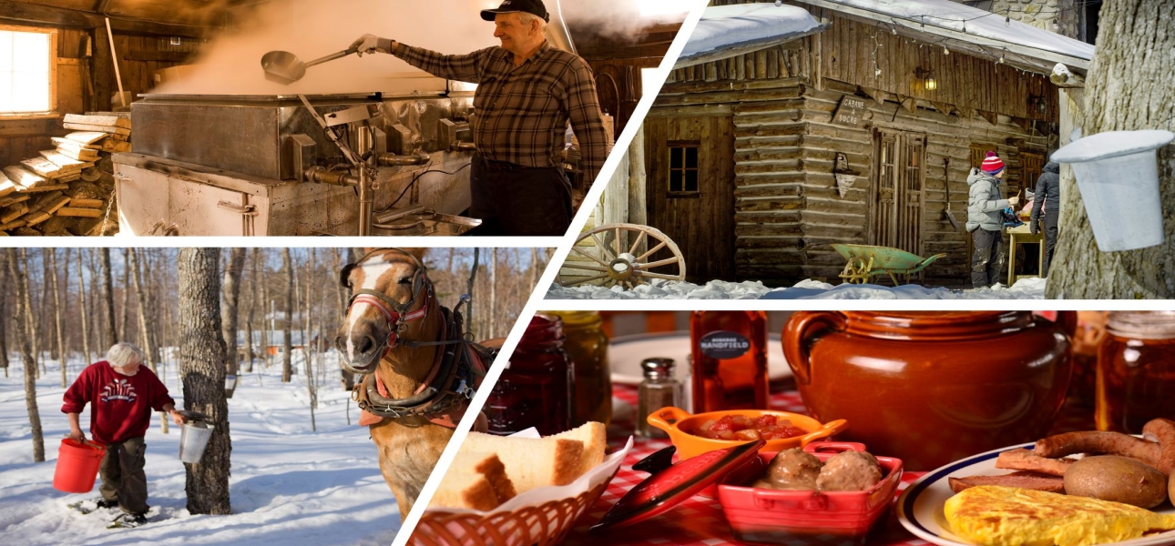 Ahornsirupernte in Québec
